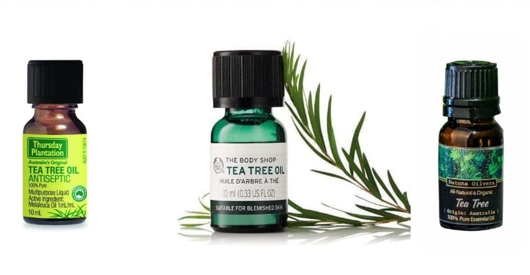 harga tea tree oil di apotik